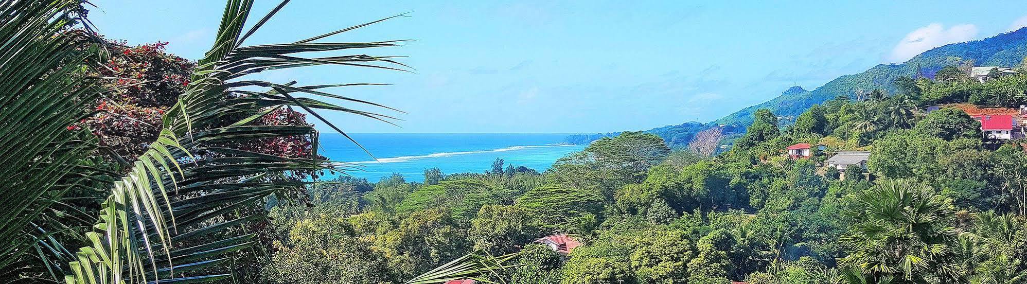 Lime Hill Lodge Anse aux Pins Exteriör bild